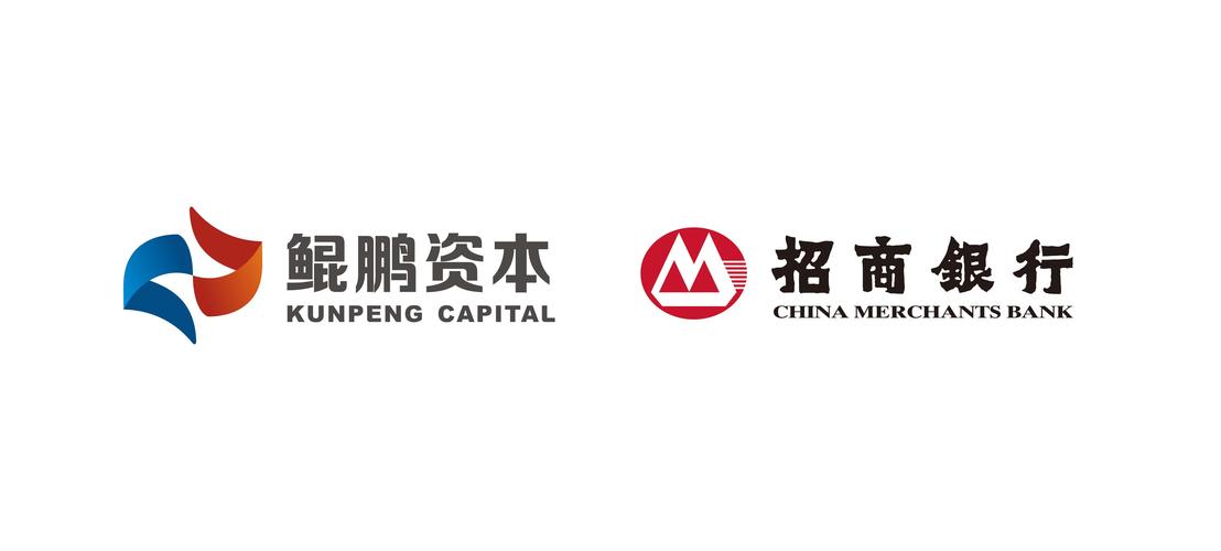 深圳市鲲鹏股权投资管理 受托管理股权类投资的典范与创新